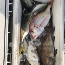 海龍丸（石川） 釣果
