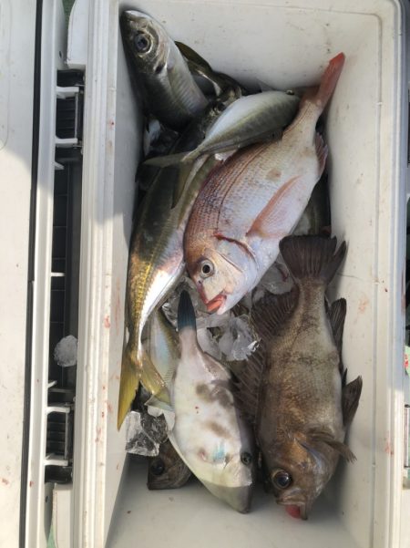 海龍丸（石川） 釣果