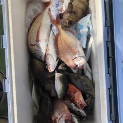 海龍丸（石川） 釣果