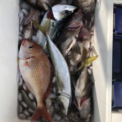 海龍丸（石川） 釣果