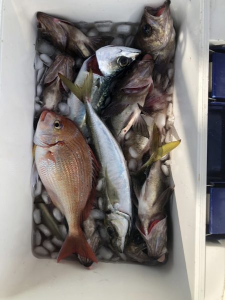海龍丸（石川） 釣果