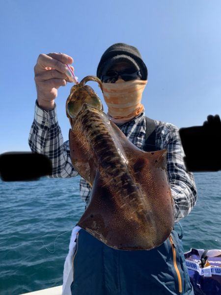 きずなまりん 釣果