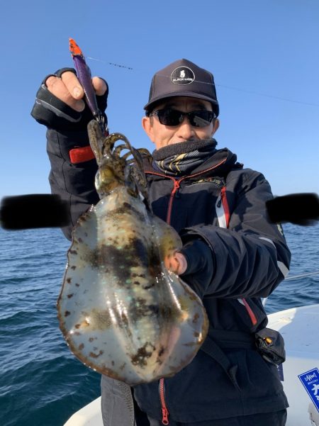 きずなまりん 釣果