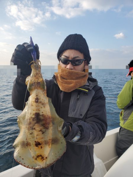 ソルトウォーターガイドフレンズ 釣果