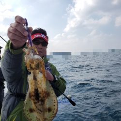 ソルトウォーターガイドフレンズ 釣果