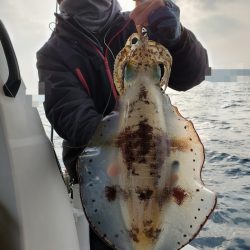 ソルトウォーターガイドフレンズ 釣果