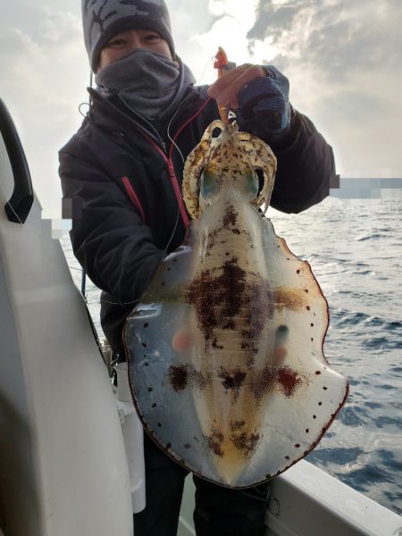 ソルトウォーターガイドフレンズ 釣果