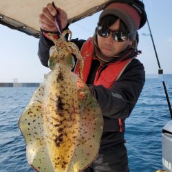 ソルトウォーターガイドフレンズ 釣果