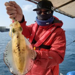 ソルトウォーターガイドフレンズ 釣果