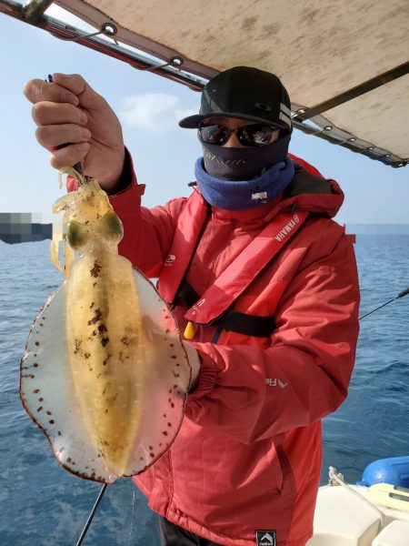 ソルトウォーターガイドフレンズ 釣果