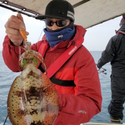 ソルトウォーターガイドフレンズ 釣果