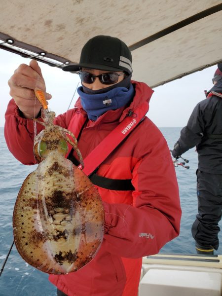 ソルトウォーターガイドフレンズ 釣果