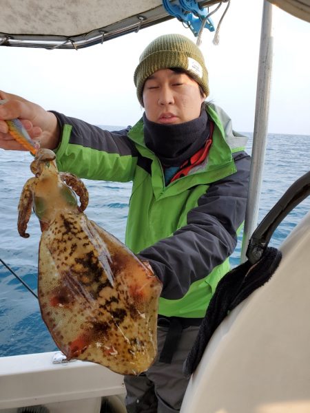 ソルトウォーターガイドフレンズ 釣果