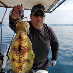 ソルトウォーターガイドフレンズ 釣果