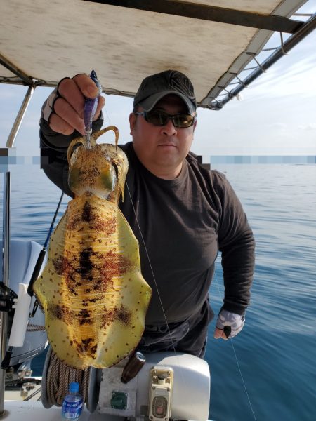 ソルトウォーターガイドフレンズ 釣果