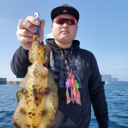 ソルトウォーターガイドフレンズ 釣果