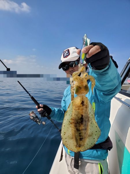 ソルトウォーターガイドフレンズ 釣果