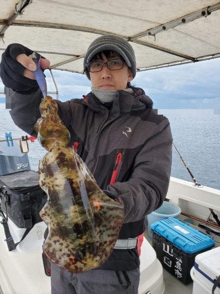 ソルトウォーターガイドフレンズ 釣果