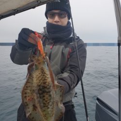 ソルトウォーターガイドフレンズ 釣果