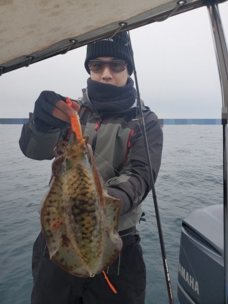 ソルトウォーターガイドフレンズ 釣果