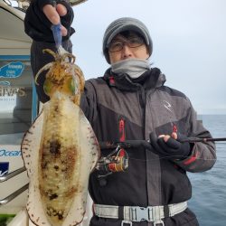 ソルトウォーターガイドフレンズ 釣果