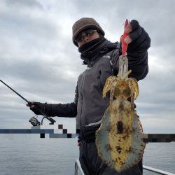 ソルトウォーターガイドフレンズ 釣果