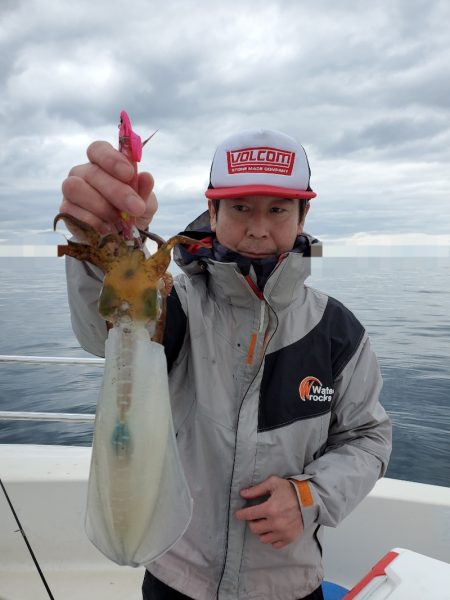 ソルトウォーターガイドフレンズ 釣果