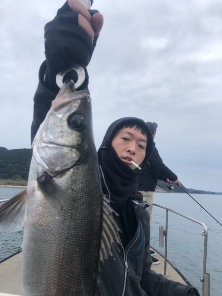 Seasonal 釣果