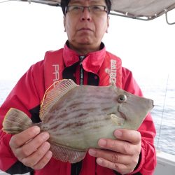 ブルースフィッシングサービス 釣果