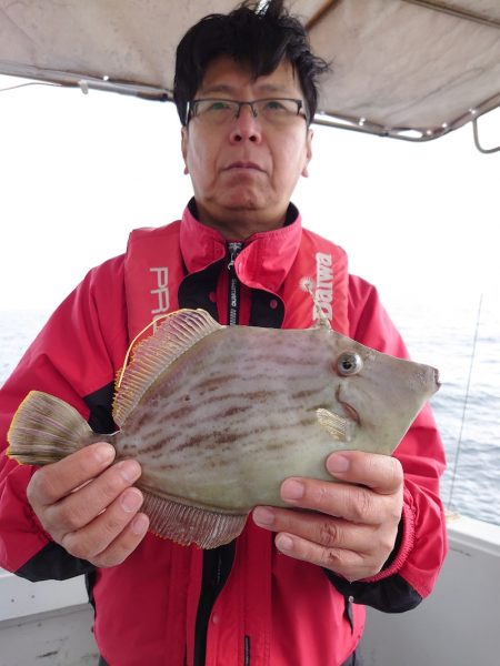 ブルースフィッシングサービス 釣果