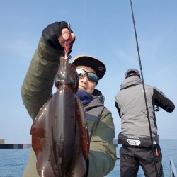 ソルトウォーターガイドフレンズ 釣果