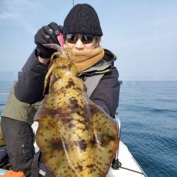 ソルトウォーターガイドフレンズ 釣果