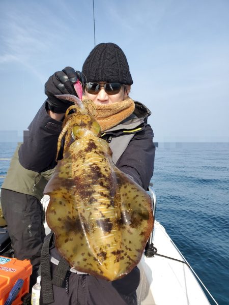 ソルトウォーターガイドフレンズ 釣果