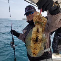 ソルトウォーターガイドフレンズ 釣果