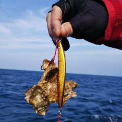 光生丸 釣果