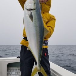 アマテラス 釣果