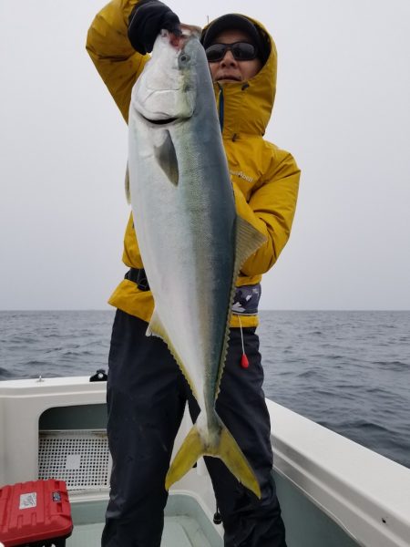 アマテラス 釣果