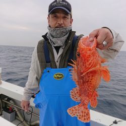 エンペラー 釣果