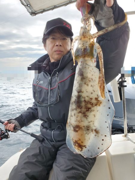 ソルトウォーターガイドフレンズ 釣果