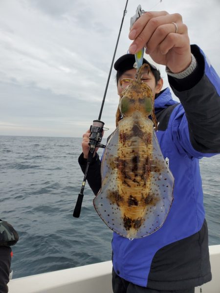 ソルトウォーターガイドフレンズ 釣果