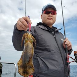 ソルトウォーターガイドフレンズ 釣果