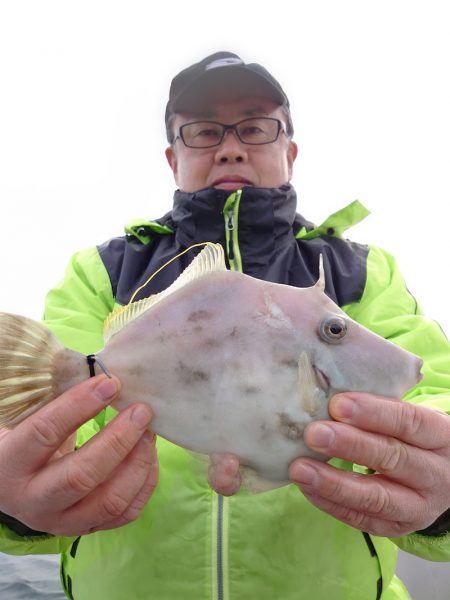 ブルースフィッシングサービス 釣果
