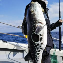 光生丸 釣果