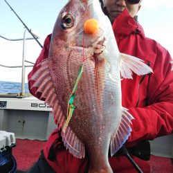 光生丸 釣果