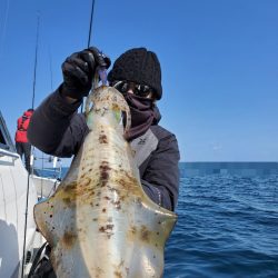 ソルトウォーターガイドフレンズ 釣果