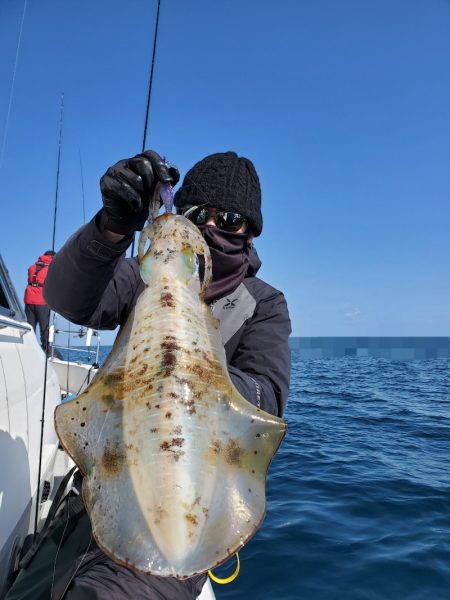 ソルトウォーターガイドフレンズ 釣果