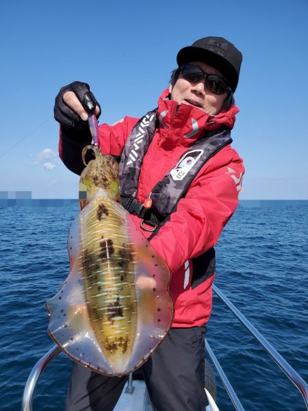 ソルトウォーターガイドフレンズ 釣果