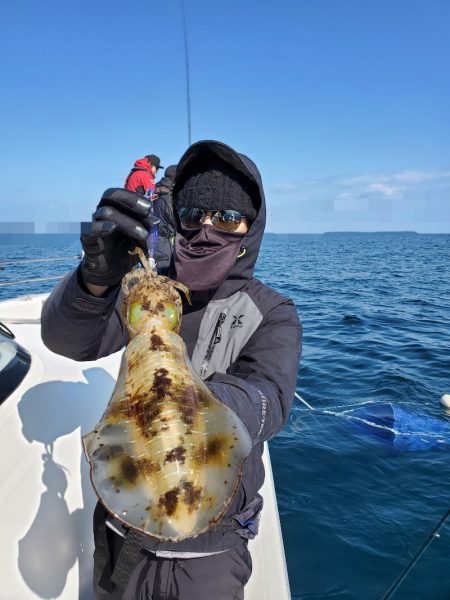 ソルトウォーターガイドフレンズ 釣果