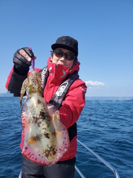 ソルトウォーターガイドフレンズ 釣果