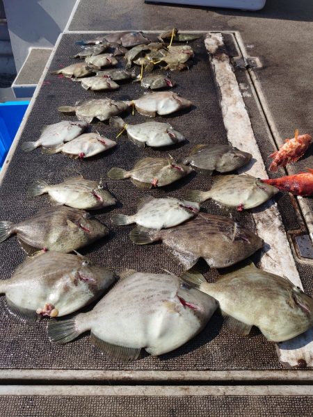 ブルースフィッシングサービス 釣果